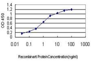 ELISA image for anti-Potassium Voltage-Gated Channel, Shaker-Related Subfamily, Member 3 (KCNA3) (AA 424-523) antibody (ABIN561576)