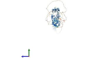 Protein Structure (PS) image for KIAA0319L (KIAA0319L) (AA 1-1049) protein (His tag) (ABIN7554256)