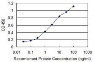 ELISA image for anti-Cytochrome P450, Family 46, Subfamily A, Polypeptide 1 (CYP46A1) (AA 201-300) antibody (ABIN524256)