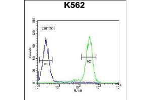 Flow Cytometry (FACS) image for anti-Receptor (Chemosensory) Transporter Protein 4 (RTP4) (AA 186-215), (C-Term) antibody (ABIN5538324)