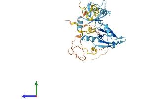 Protein Structure (PS) image for Solute Carrier Family 9 (Sodium/hydrogen Exchanger), Member 3 Regulator 2 (SLC9A3R2) (AA 1-337) protein (His tag) (ABIN7549757)