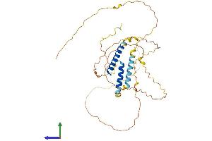 Protein Structure (PS) image for Spermatogenesis and Oogenesis Specific Basic Helix-Loop-Helix 1 (SOHLH1) (AA 1-357) protein (His tag) (ABIN7557936)