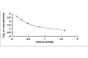 Typical standard curve (Somatostatin ELISA 试剂盒)