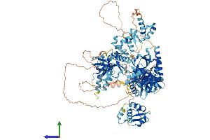 Protein Structure (PS) image for Tudor Domain Containing 7 (TDRD7) (AA 1-1086) protein (His tag) (ABIN7564622)
