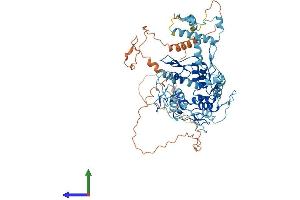 Protein Structure (PS) image for Zinc Finger Protein 567 (104092) (AA 1-647) protein (His tag) (ABIN7545816)
