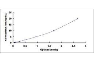Typical standard curve (CUBN ELISA 试剂盒)