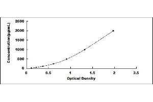 Typical standard curve (C19ORF80 ELISA 试剂盒)