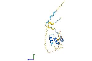 Protein Structure (PS) image for Arginine Vasopressin Induced Protein 1 (AVPI1) (AA 1-147) protein (His tag) (ABIN7552622)