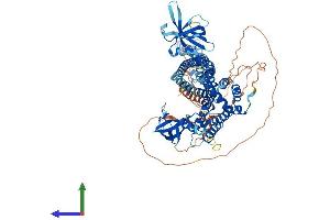 Protein Structure (PS) image for rho GTPase Activating Protein 26 (ARHGAP26) (AA 1-814) protein (His tag) (ABIN7551354)