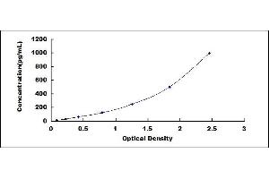 Typical standard curve (BMP2 ELISA 试剂盒)