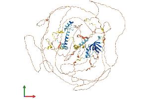 Protein Structure (PS) image for Ataxin 2-Like (ATXN2L) (AA 1-1075) protein (His tag) (ABIN7552644)