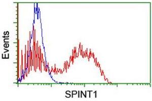 Image no. 1 for anti-serine Peptidase Inhibitor, Kunitz Type 1 (SPINT1) antibody (ABIN1501109)