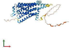 Protein Structure (PS) image for Serotonin Receptor 4 (HTR4) (AA 1-388) protein (His tag) (ABIN7551733)