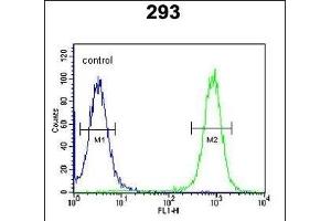 EPC2 Antibody (N-term) (ABIN651410 and ABIN2840221) flow cytometric analysis of 293 cells (right histogram) compared to a negative control cell (left histogram). (EPC2 抗体  (N-Term))