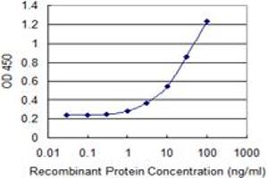 ELISA image for anti-Clathrin Interactor 1 (CLINT1) (AA 161-262) antibody (ABIN599495) (CLINT1 抗体  (AA 161-262))