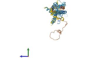 Protein Structure (PS) image for Pannexin 1 (PANX1) (AA 1-426) protein (His tag) (ABIN7561551)