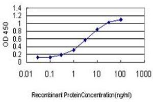 Detection limit for recombinant GST tagged FXR1 is approximately 0. (FXR1 抗体  (AA 121-220))