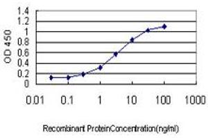 Detection limit for recombinant GST tagged FXR1 is approximately 0.