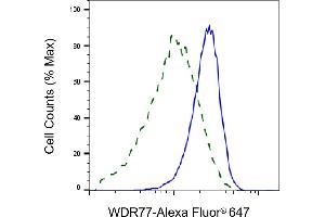 Flow cytometric analysis of WDR77 expression in HeLa cells using WDR77 antibody (ABIN7800857), 1:2,000). (WDR77 抗体)