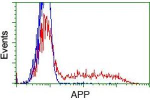 Image no. 2 for anti-Amyloid beta (A4) Precursor Protein (APP) antibody (ABIN1496880) (APP 抗体)