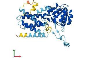 Protein Structure (PS) image for Eukaryotic Translation Initiation Factor 2B, Subunit 2 Beta, 39kDa (EIF2B2) (AA 1-351) protein (His tag) (ABIN7547358)