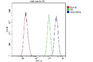Flow Cytometry analysis of A431 cells using anti-HP1 gamma antibody (ABIN5693033). (CBX3 抗体  (AA 2-183))