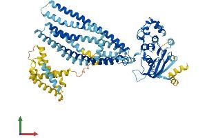 AlphaFold protein structure predicition of Mouse Recombinant Tap2 Protein, UniprotID P36371