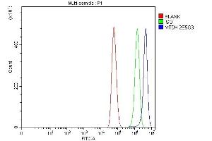 anti-Metadherin (MTDH) (AA 101-270) antibody