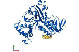 Protein Structure (PS) image for GDP Dissociation Inhibitor 2 (GDI2) (AA 1-445) protein (His tag) (ABIN7557720)