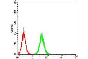 Flow cytometric analysis of K562 cells using NS1 mouse mAb (green) and negative control (red). (NS1 (AA 1-216) 抗体)