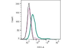 Black Line: Cells.