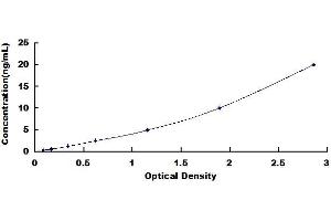 Typical standard curve (SOX9 ELISA 试剂盒)