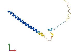 Protein Structure (PS) image for Small Nuclear RNA Activating Complex, Polypeptide 5, 19kDa (SNAPC5) (AA 1-98) protein (His tag) (ABIN7546291)