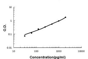 Sandwich ELISA - Recombinant human Elafin/Skalp protein standard curve.