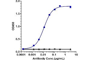 Immobilized human VEGF165 His at 2 μg/mL can bind Anti-DLL4 Reference Antibody (navicixizumab), EC50=0.