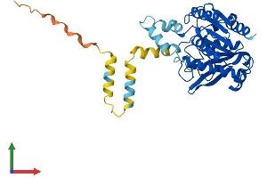 AlphaFold protein structure predicition of Human Recombinant ABHD12B Protein, UniprotID Q7Z5M8