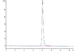 The purity of Human SEMA4B is greater than 95 % as determined by SEC-HPLC. (SEMA4B Protein (AA 44-717) (His tag))