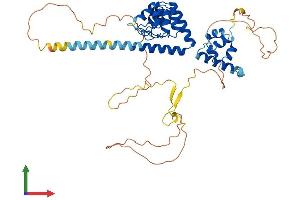 Protein Structure (PS) image for Usher Syndrome 1G (Autosomal Recessive) (USH1G) (AA 1-461) protein (His tag) (ABIN7544996)