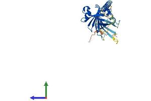 AlphaFold protein structure predicition of Mouse Recombinant Itm2c Protein, UniprotID Q91VK4