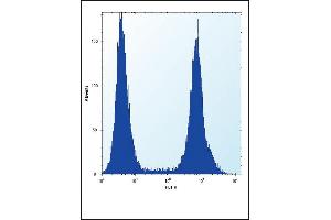 RUNX1 Antibody  (ABIN650732 and ABIN2839428) flow cytometric analysis of Hela cells (right histogram) compared to a negative control cell (left histogram). (RUNX1 抗体  (AA 227-255))