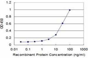 Detection limit for recombinant GST tagged RPL30 is approximately 1ng/ml as a capture antibody. (RPL30 抗体  (AA 1-115))