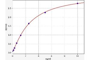 Typical standard curve (OPLAH ELISA 试剂盒)