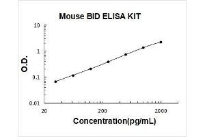 BH3 Interacting Domain Death Agonist (BID) ELISA Kit