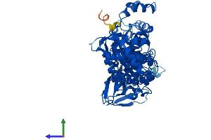 Protein Structure (PS) image for Nicotinate phosphoribosyltransferase (NAPRT) (AA 1-538) protein (His tag) (ABIN7550925)
