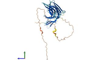 AlphaFold protein structure predicition of Mouse Recombinant Txnip Protein, UniprotID Q8BG60