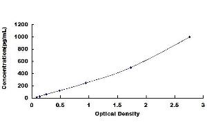Typical standard curve (GLUL ELISA 试剂盒)