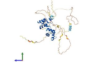 AlphaFold protein structure predicition of Mouse Recombinant Pax5 Protein, UniprotID Q02650