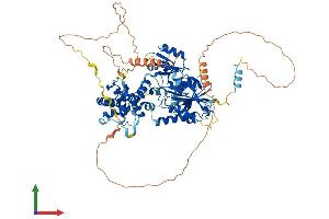 AlphaFold protein structure predicition of Mouse Recombinant Nsun7 Protein, UniprotID Q14AW5