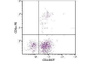 Chicken peripheral blood lymphocytes were stained with Mouse Anti-Chicken CD3-BIOT. (CD3 抗体  (Biotin))