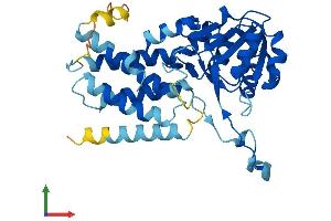 Protein Structure (PS) image for Eukaryotic Translation Initiation Factor 2B, Subunit 2 Beta, 39kDa (EIF2B2) (AA 1-351) protein (His tag) (ABIN7560361)